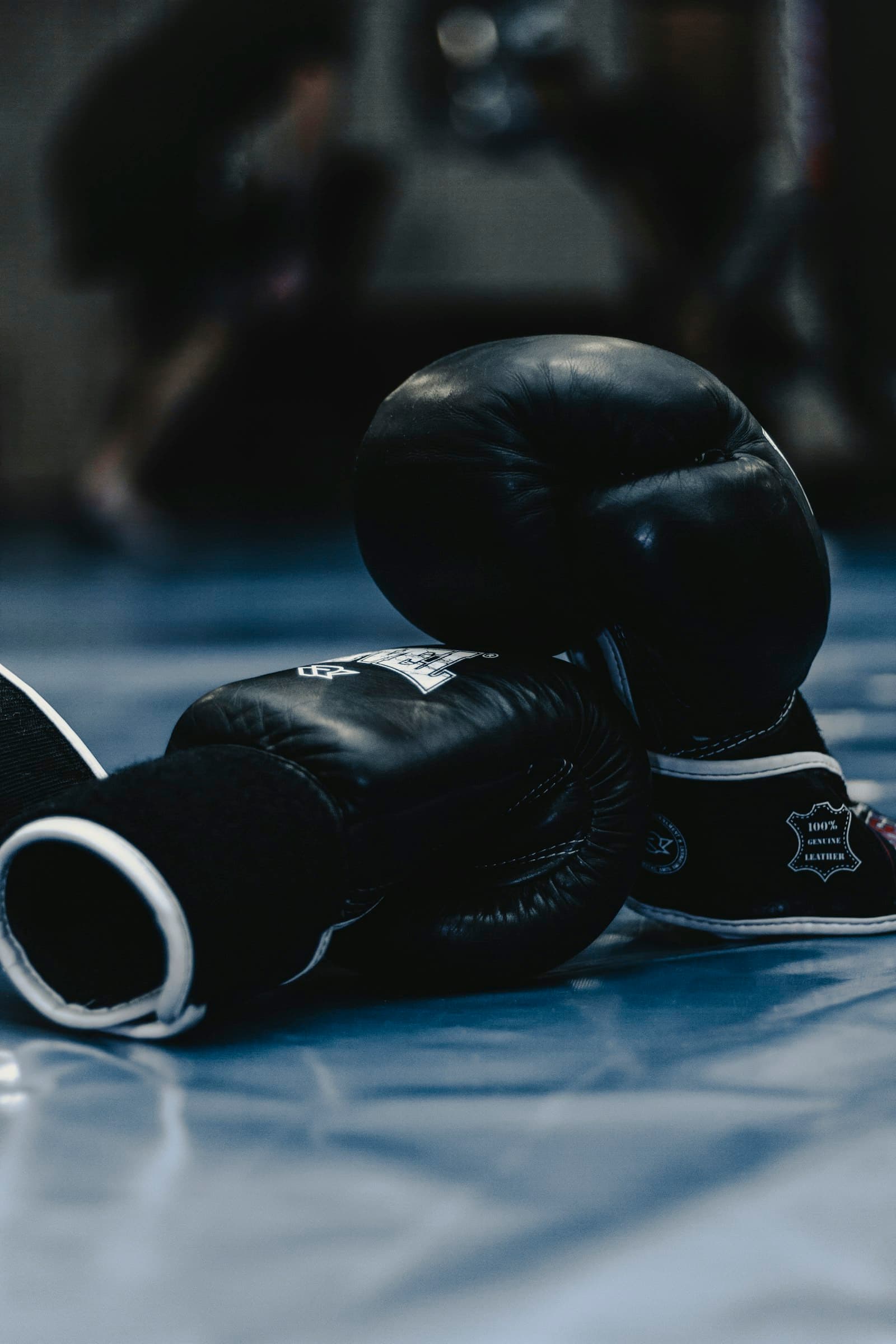 Boxing gloves resting on the studio mat